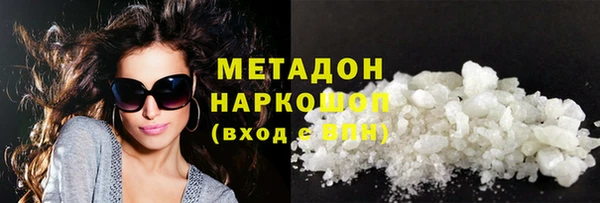 прущие грибы Белокуриха