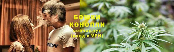 трава Беломорск