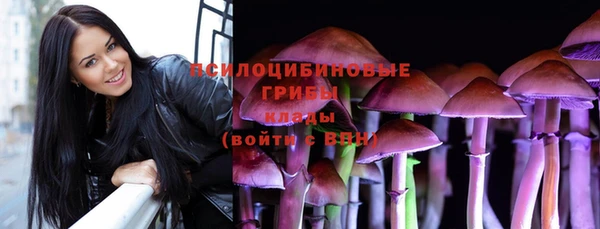 трава Беломорск