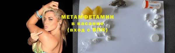прущие грибы Белокуриха