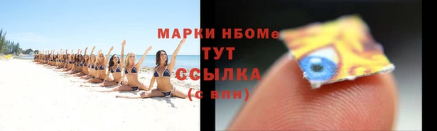 прущие грибы Белокуриха