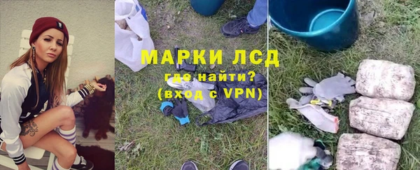 трава Беломорск