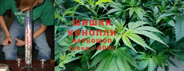 крисы Белоозёрский