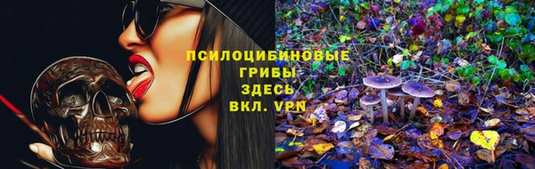 трава Беломорск