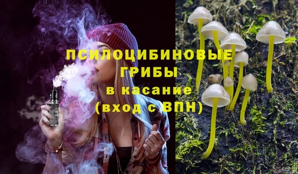 прущие грибы Белокуриха