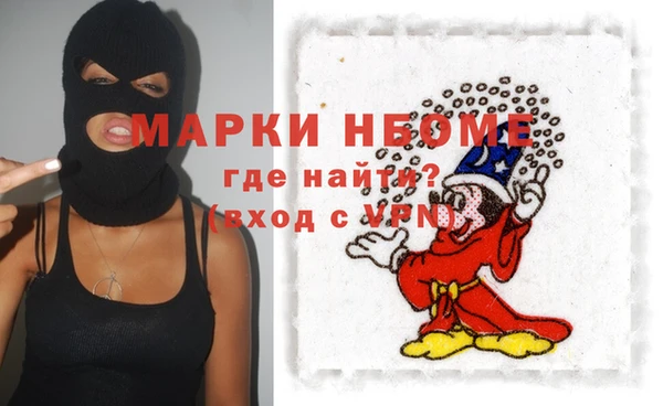 прущие грибы Белокуриха