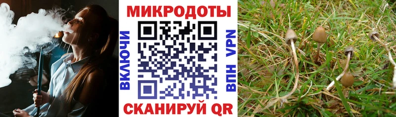 Галлюциногенные грибы GOLDEN TEACHER Краснослободск